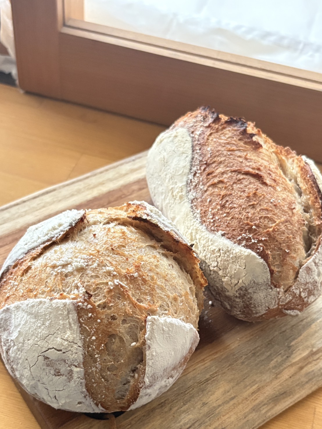 スペルト（古代）小麦カンパーニュ